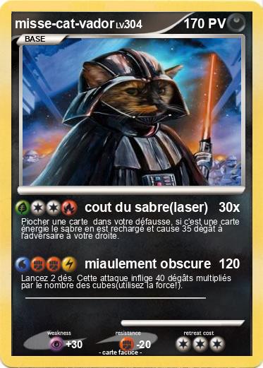 Pokemon misse-cat-vador