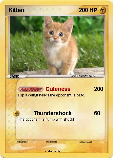Pokemon Kitten