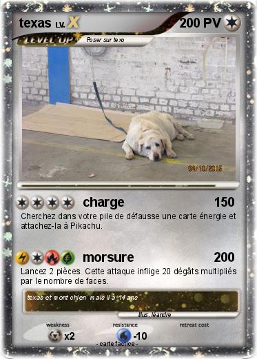 Pokemon texas