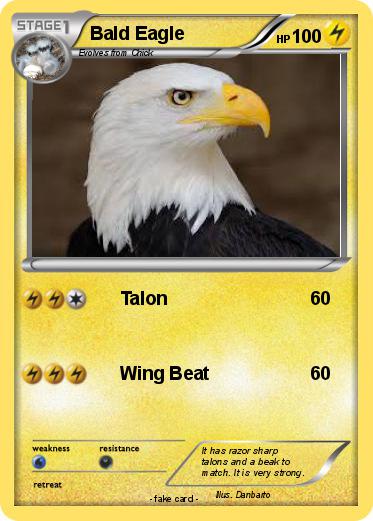 Pokemon Bald Eagle