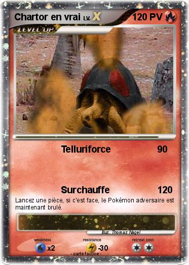 Pokemon Chartor en vrai