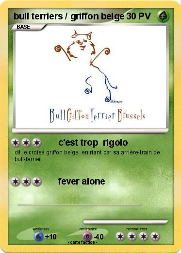 Pokemon bull terriers / griffon belge