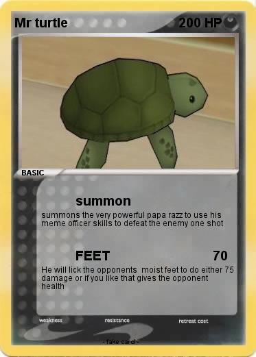 Pokemon Mr turtle
