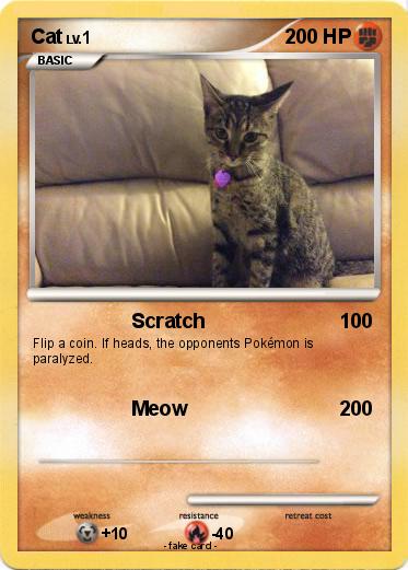 Pokemon Cat