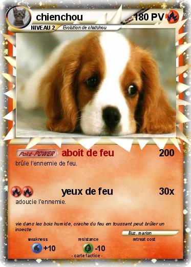 Pokemon chienchou