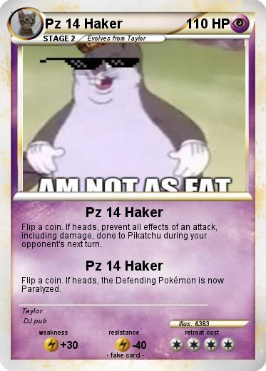 Pokemon Pz 14 Haker
