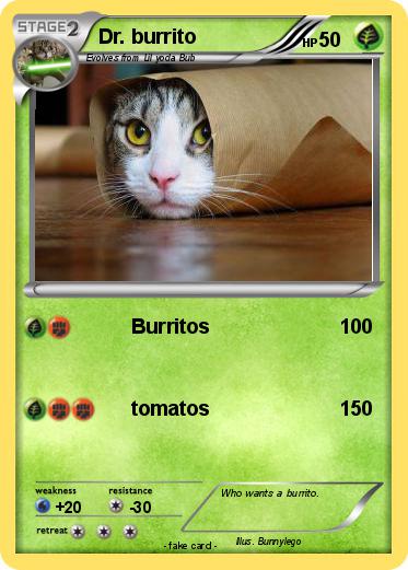 Pokemon Dr. burrito