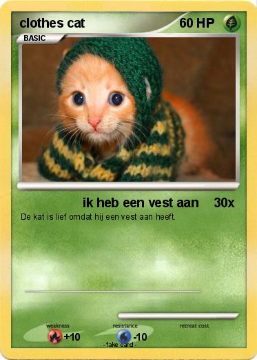 Pokemon clothes cat