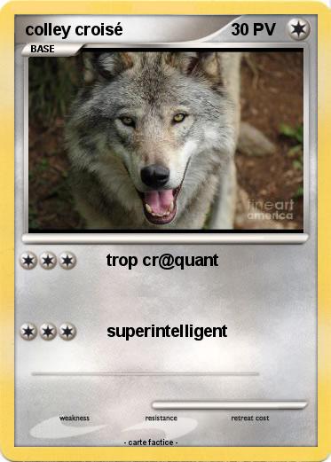 Pokemon colley croisé