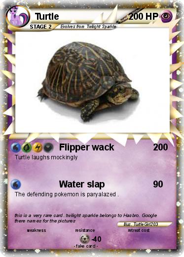 Pokemon Turtle