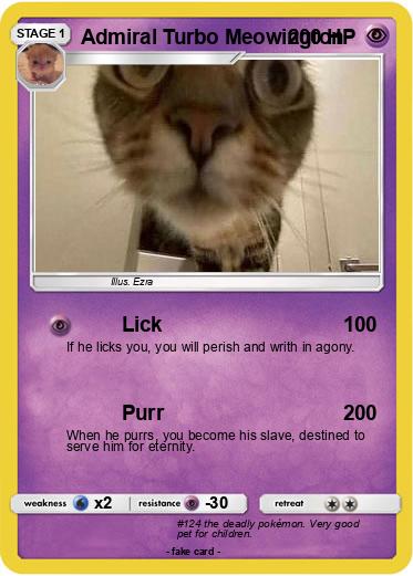 Pokemon Admiral Turbo Meowington