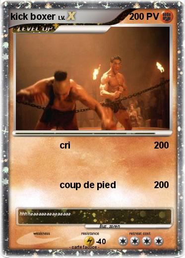 Pokemon kick boxer