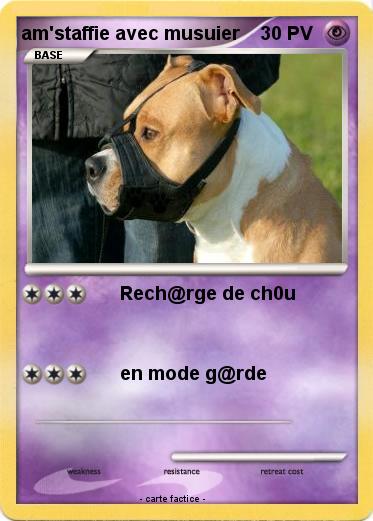 Pokemon am'staffie avec musuier