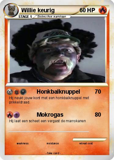 Pokemon Willie keurig