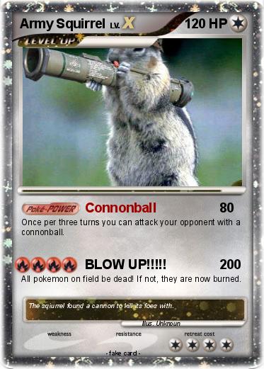 Pokemon Army Squirrel