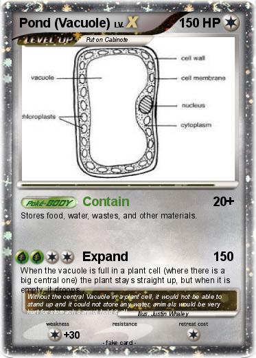 Pokemon Pond (Vacuole)
