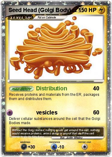 Pokemon Seed Head (Golgi Body)