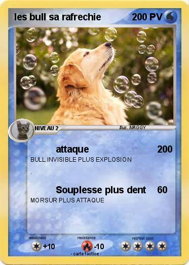 Pokemon les bull sa rafrechie