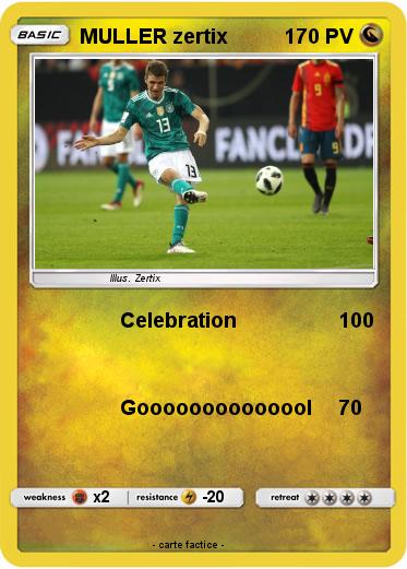 Pokemon MULLER zertix