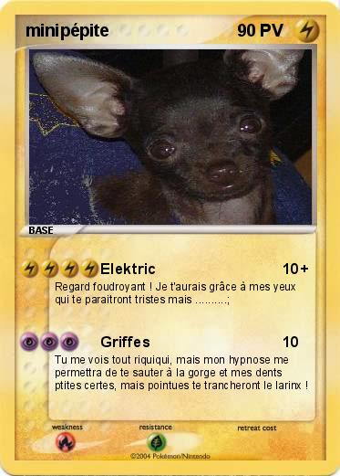 Pokemon minipépite