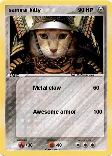 Pokemon samirai kitty