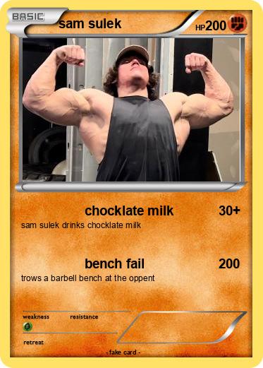 Pokemon sam sulek