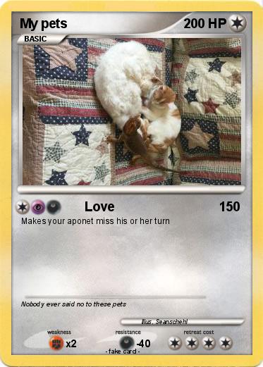 Pokemon My pets