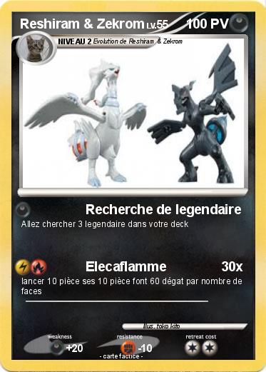Pokemon Reshiram & Zekrom