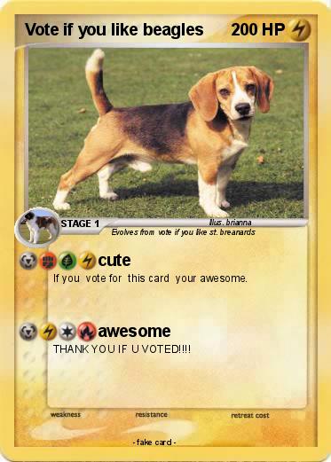 Pokemon Vote if you like beagles