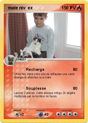 Pokemon  mate niv  ex