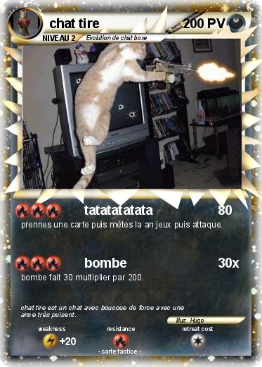 Pokemon chat tire