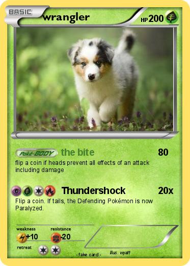 Pokemon wrangler