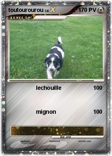 Pokemon toutourourou