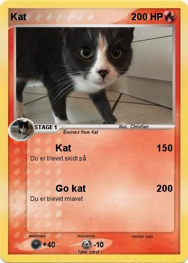 Pokemon Kat