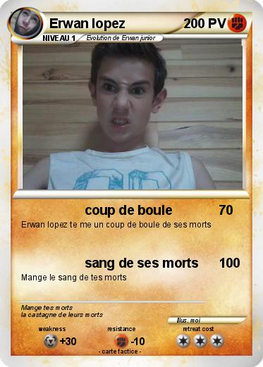 Pokemon Erwan lopez