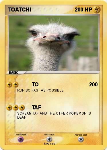 Pokemon TOATCHI