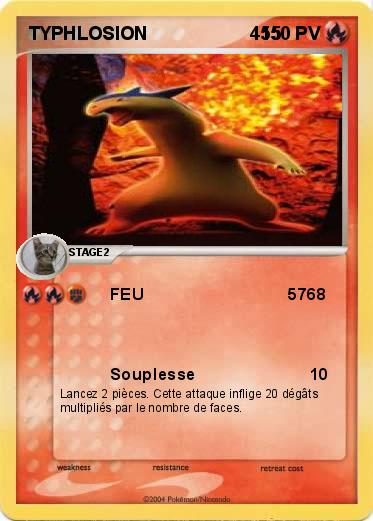 Pokemon TYPHLOSION                    455