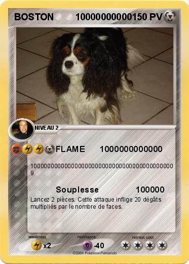 Pokemon BOSTON        10000000000