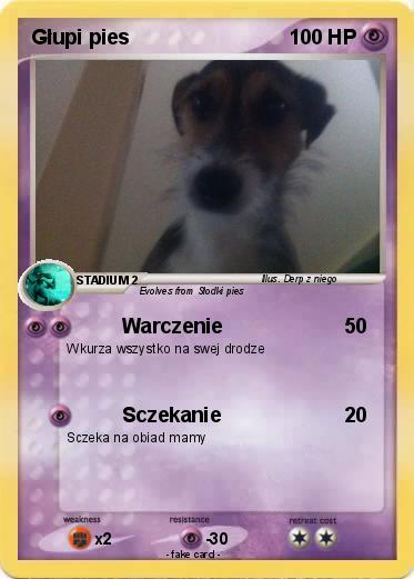 Pokemon Głupi pies