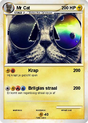 Pokemon Mr Cat