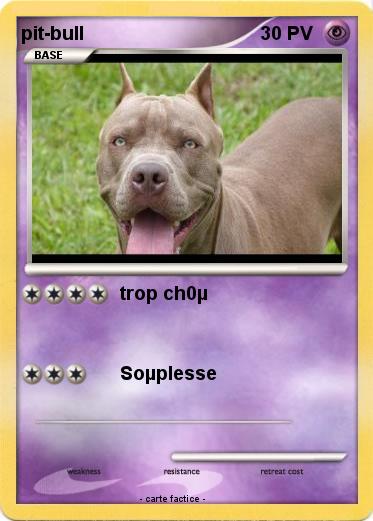 Pokemon pit-bull