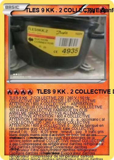 Pokemon TLES 9 KK . 2 COLLECTIVE Danfoss ™