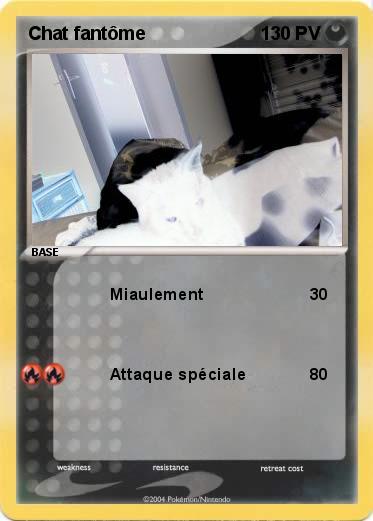 Pokemon Chat fantôme