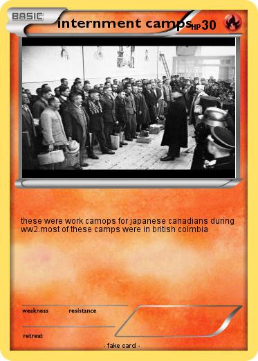 Pokemon internment camps