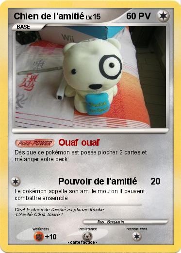 Pokemon Chien de l'amitié