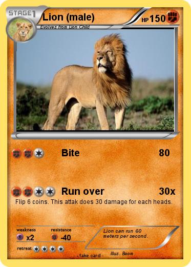 Pokemon Lion (male)