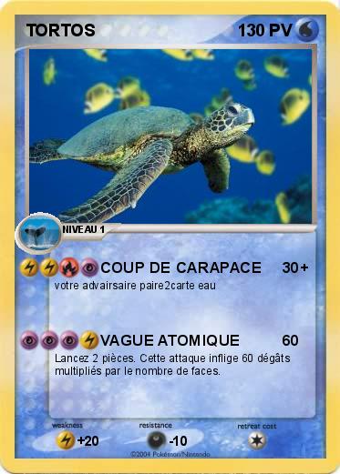 Pokemon TORTOS