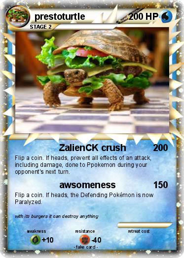 Pokemon prestoturtle
