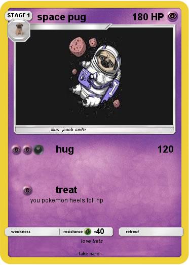 Pokemon space pug