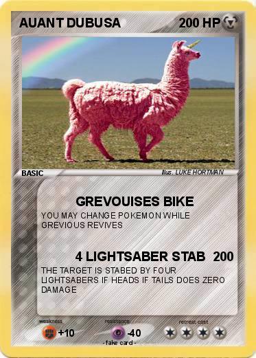 Pokemon AUANT DUBUSA